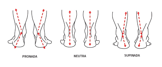 Tipos de pisada: pronada, neutra e supinada.