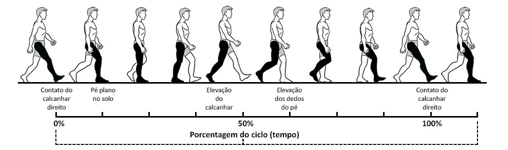 Ciclo da marcha